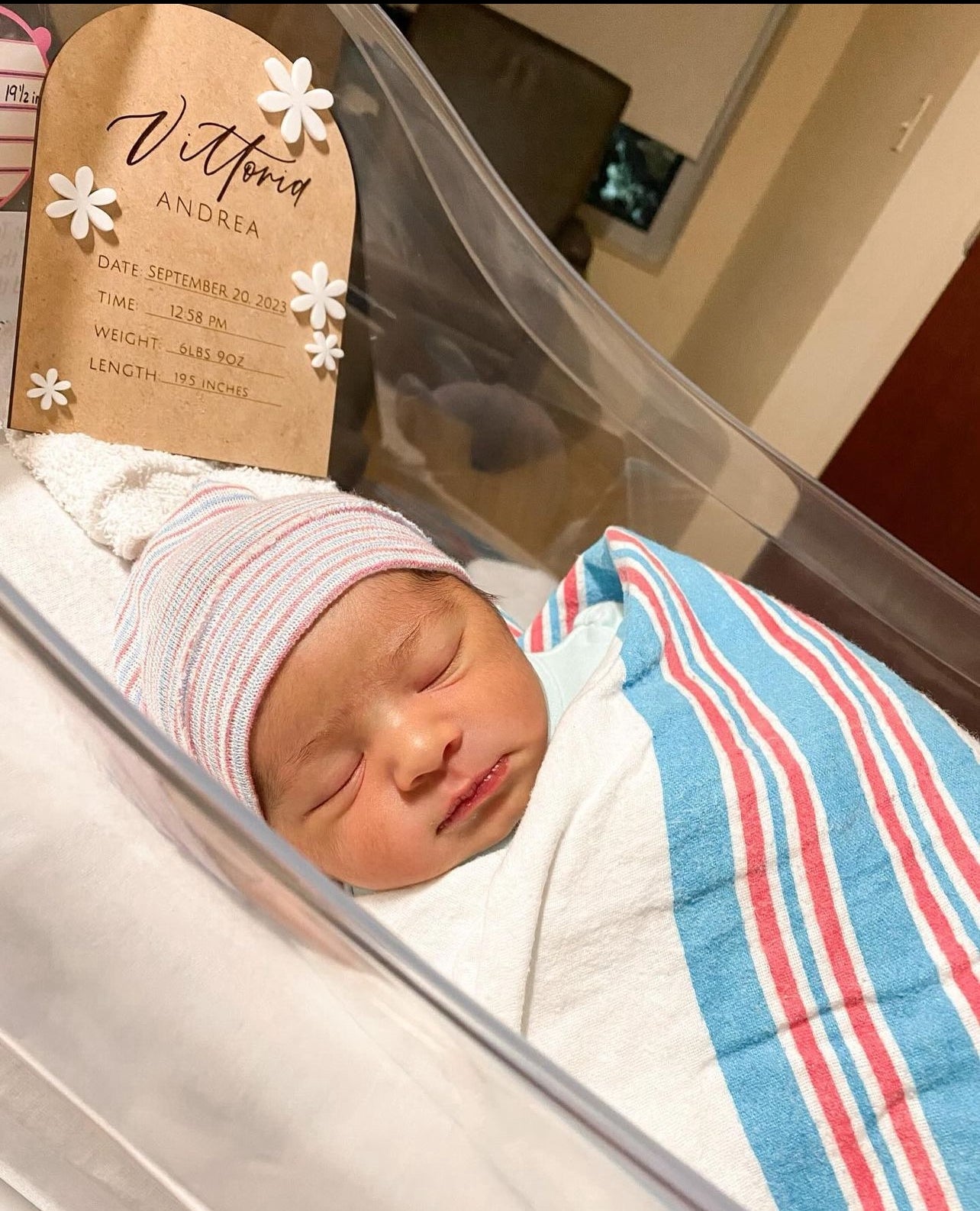 Vittoria Floral Birth Arch