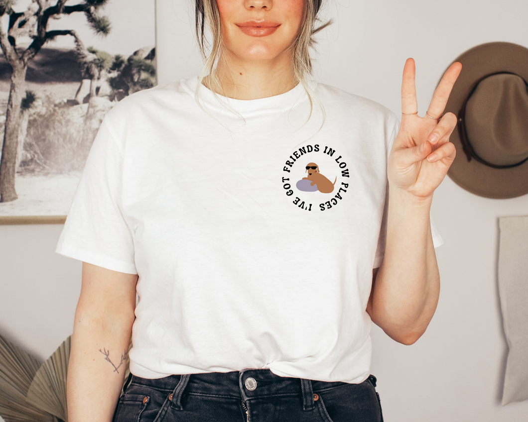 FRIENDS IN LOW PLACES TEE